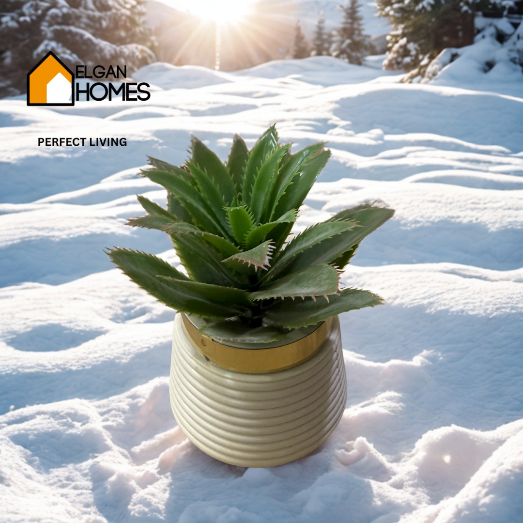 Elegant Fibre Pot with Artificial cactus – Table Decor